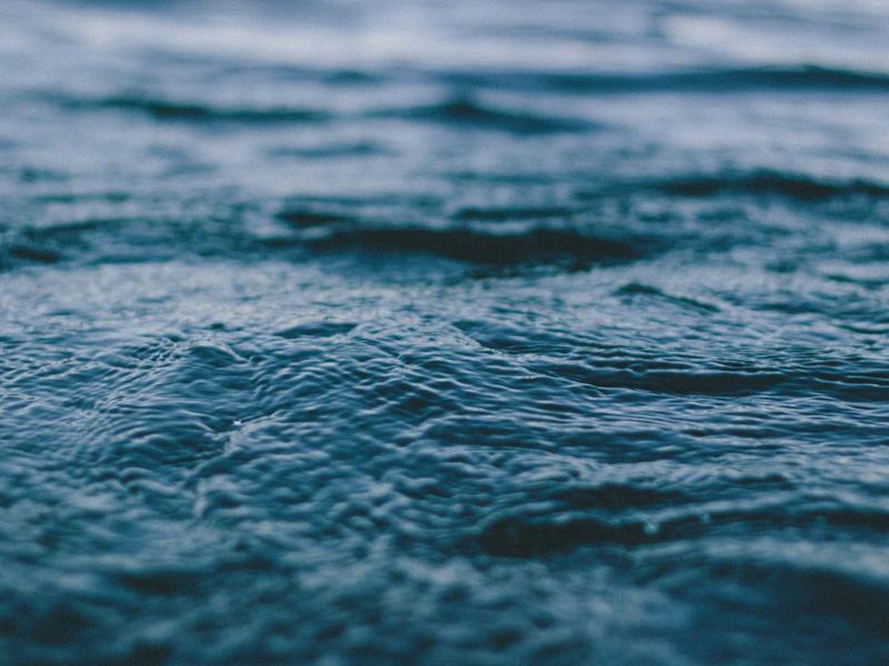 鼻尖上的雪<br>yxepqio.cn 冬日冷冽气息